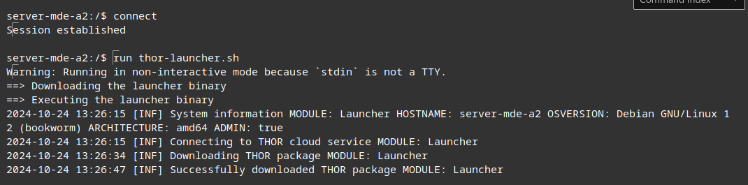 Run thor-launcher.sh in Live Response session